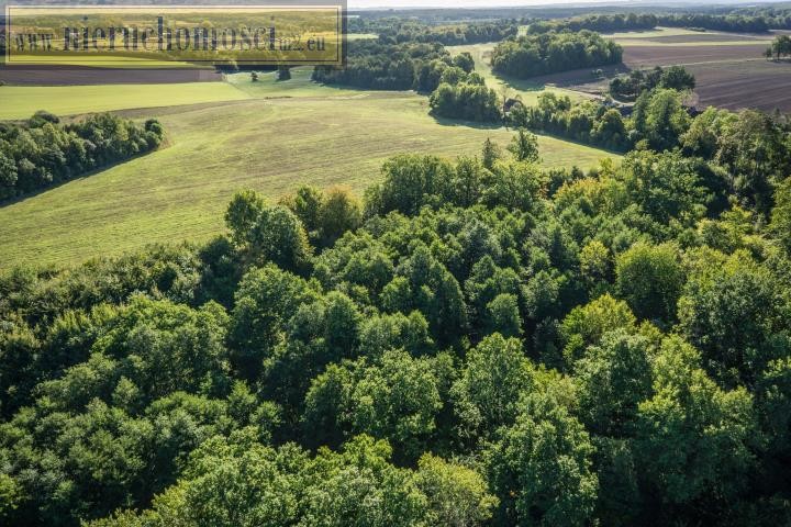 lęborski, Nowa Wieś Lęborska, Lędziechowo, Działka na sprzedaż