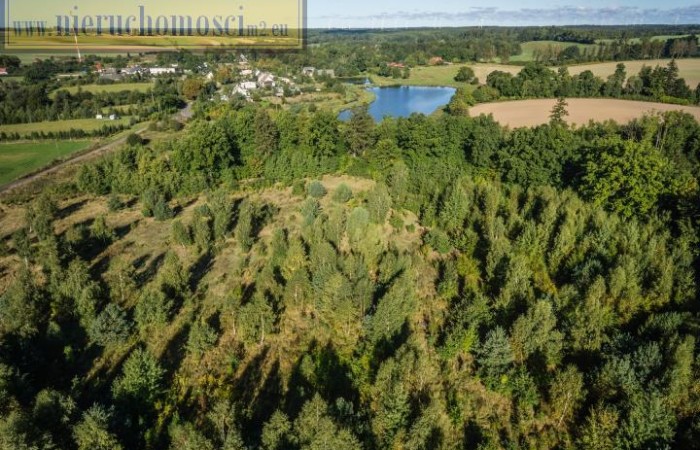 lęborski, Nowa Wieś Lęborska, Lędziechowo, Działka na sprzedaż