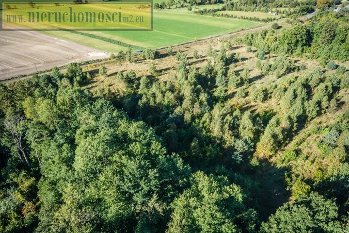 lęborski, Nowa Wieś Lęborska, Lędziechowo, Działka na sprzedaż