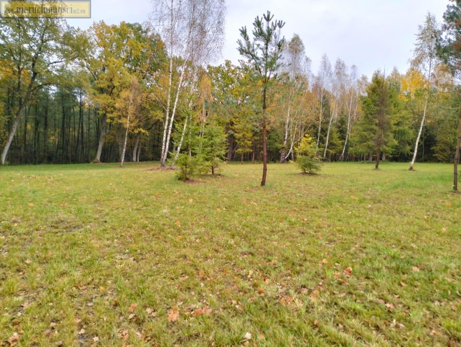 lęborski, Nowa Wieś Lęborska, Lędziechowo, Działka na sprzedaż