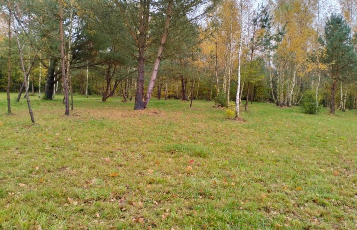 lęborski, Nowa Wieś Lęborska, Lędziechowo, Działka na sprzedaż