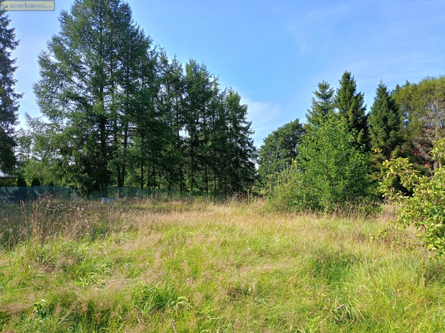 wejherowski, Szemud, Warzno, Dworska, Działka na sprzedaż