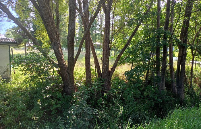 wejherowski, Szemud, Warzno, Dworska, Działka na sprzedaż