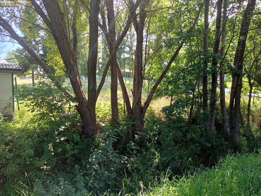 wejherowski, Szemud, Warzno, Dworska, Działka na sprzedaż