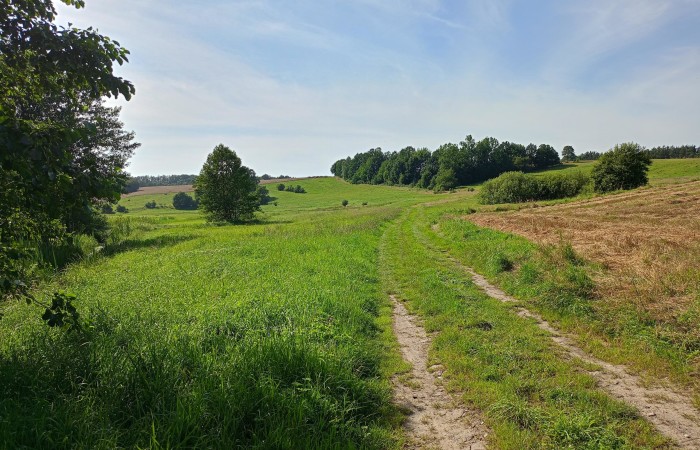 wejherowski, Szemud, Warzno, Dworska, Działka na sprzedaż