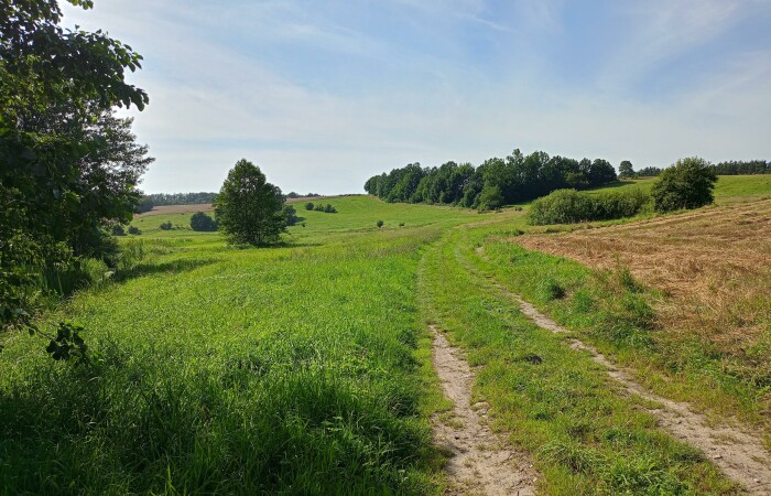 wejherowski, Szemud, Warzno, Dworska, Działka na sprzedaż