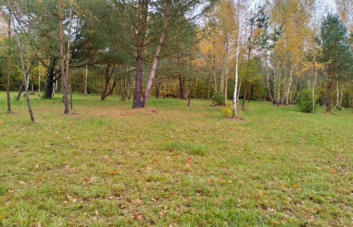 lęborski, Nowa Wieś Lęborska, Lędziechowo, Działka na sprzedaż