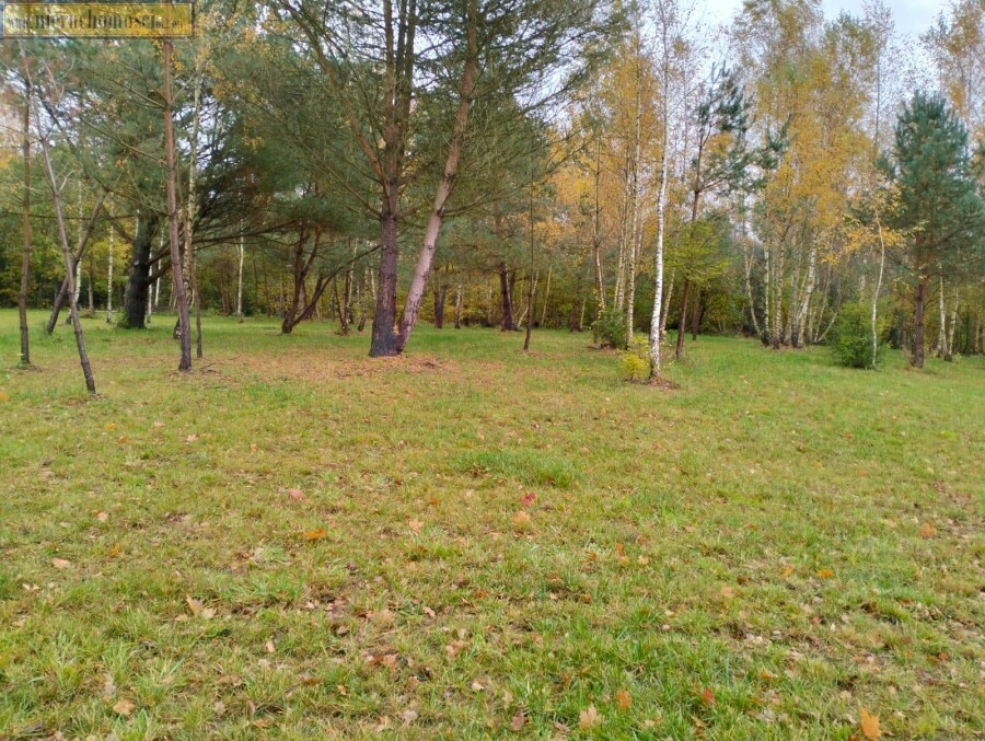 lęborski, Nowa Wieś Lęborska, Lędziechowo, Działka na sprzedaż